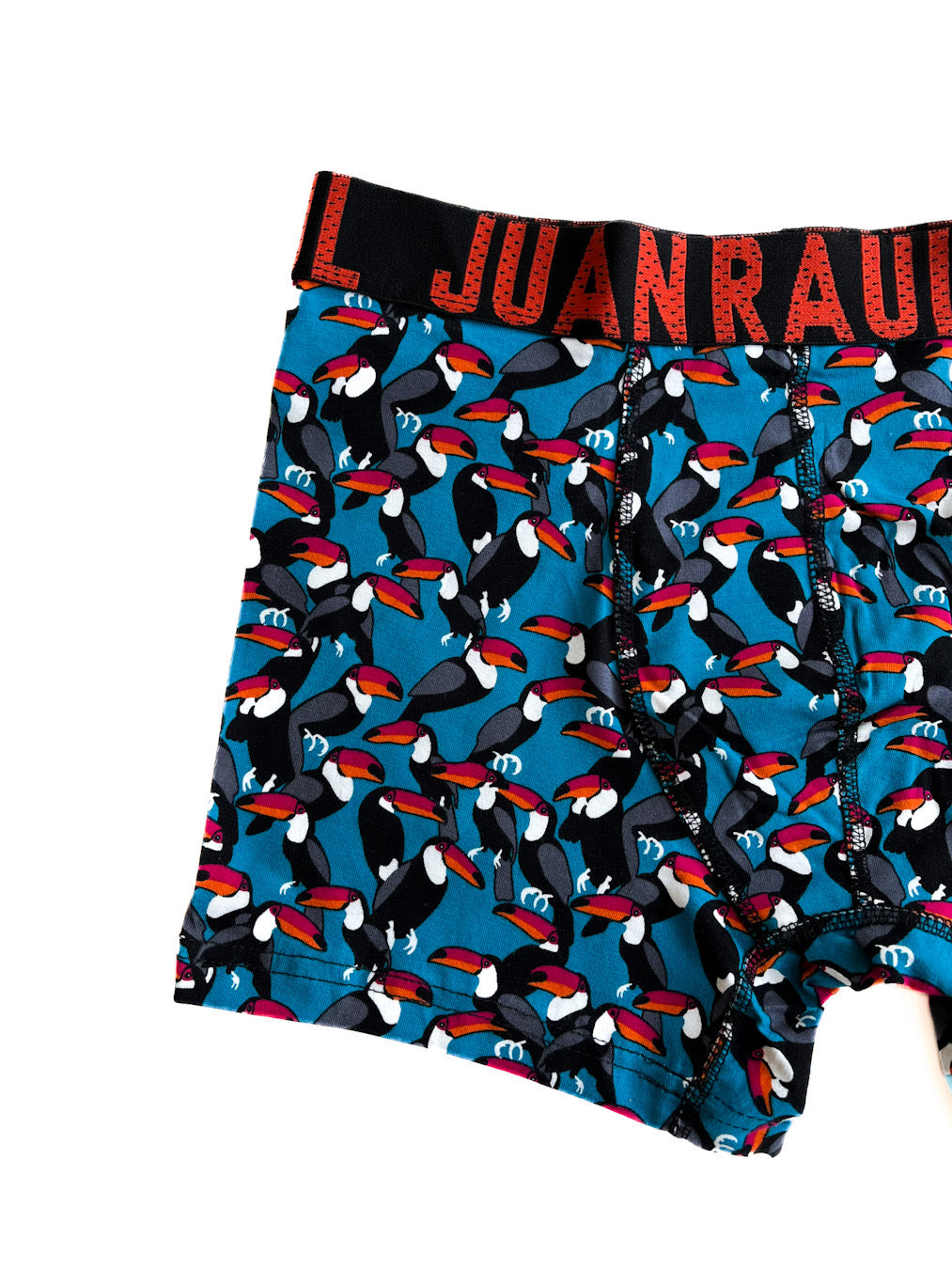 Boxer With Toucan Birde Detail