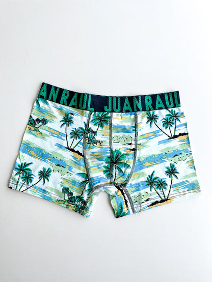 Palm Detail Hawaii Boxer