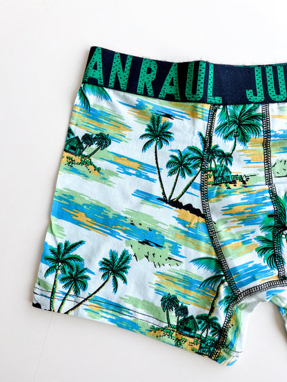 Palm Detail Hawaii Boxer