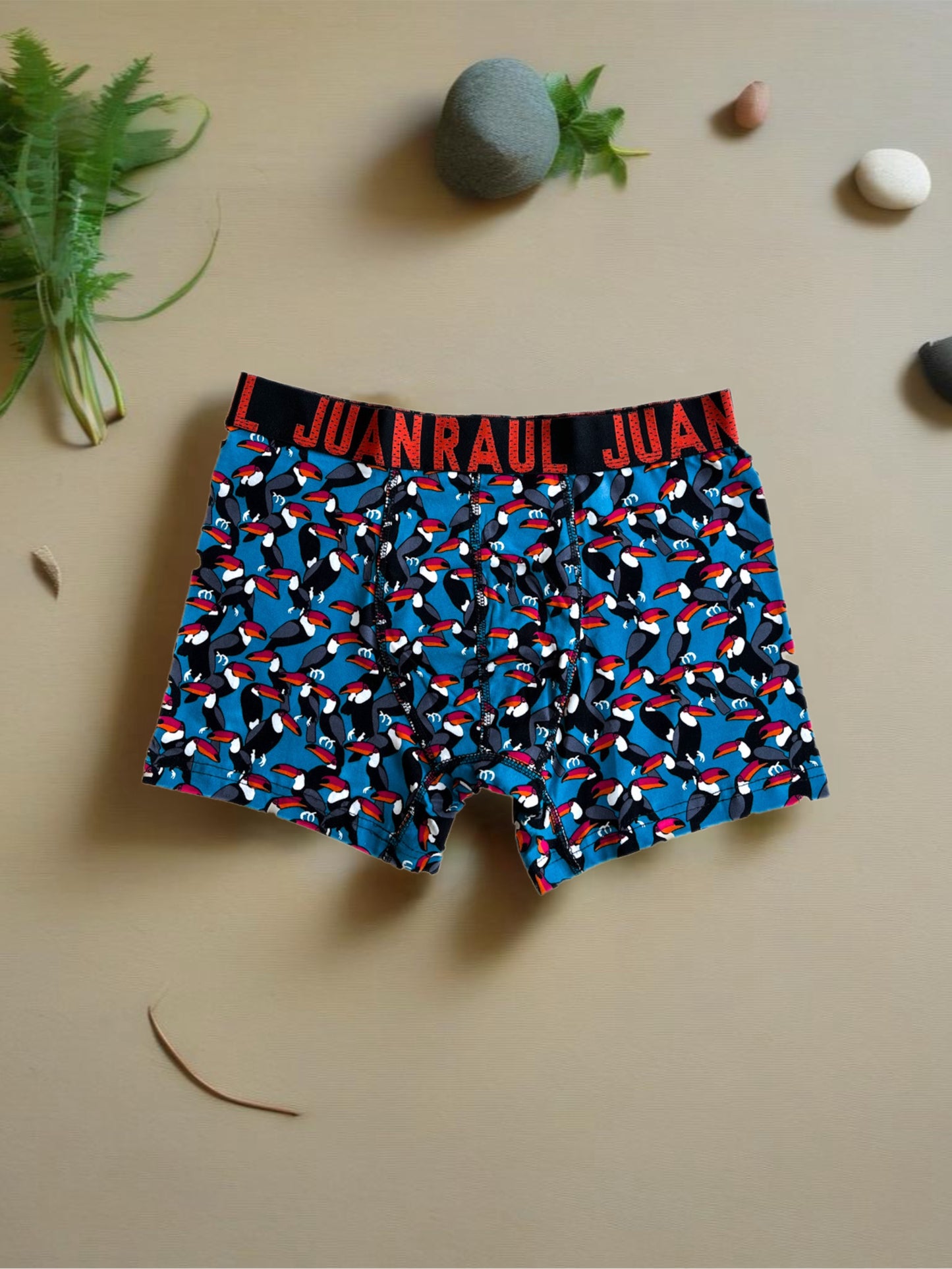 Boxer With Toucan Birde Detail