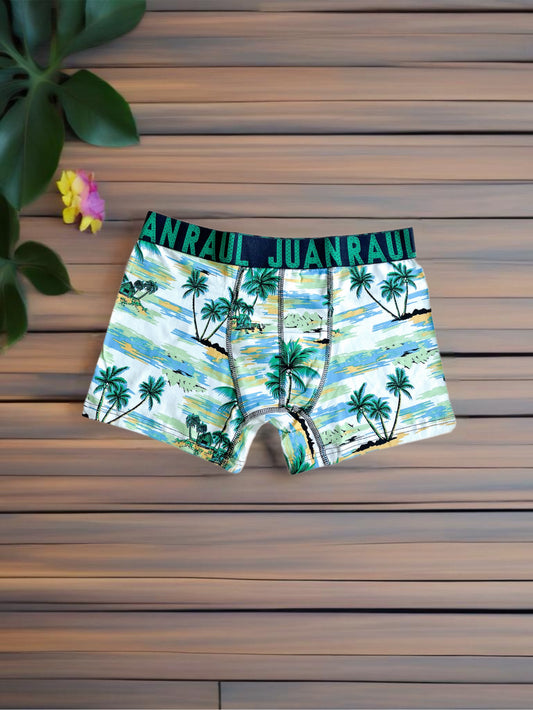 Palm Detail Hawaii Boxer